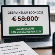 DGA loon-Lager-Belastingadvies klein